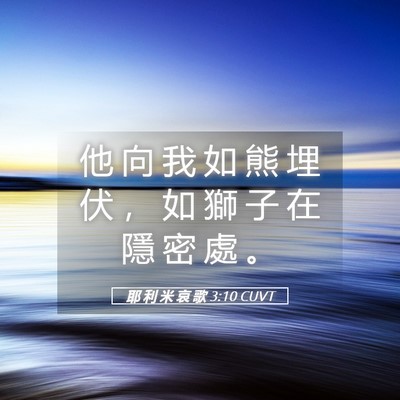 Picture 05 - 耶 利 米 哀 歌 3:10 CUVT - 他 向 我 如 熊 埋 伏 ， 如 獅 子 在 - Bible Verse Picture