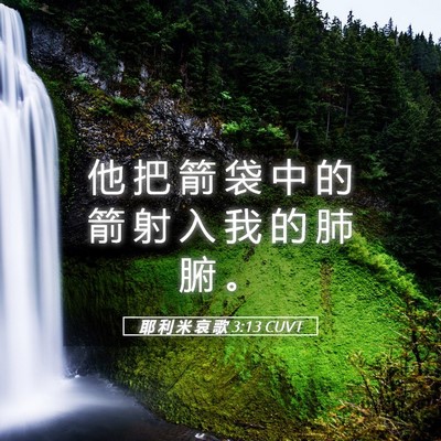 Picture 05 - 耶 利 米 哀 歌 3:13 CUVT - 他 把 箭 袋 中 的 箭 射 入 我 的 肺 - Bible Verse Picture