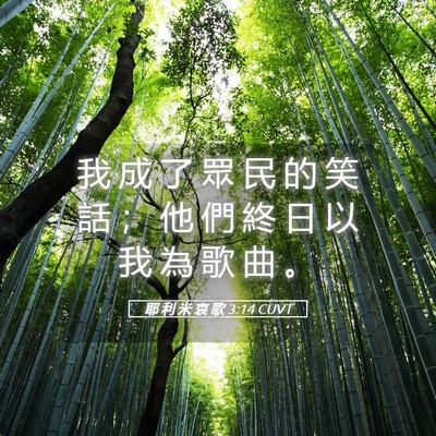 Picture 05 - 耶 利 米 哀 歌 3:14 CUVT - 我 成 了 眾 民 的 笑 話 ； 他 們 終 - Bible Verse Picture