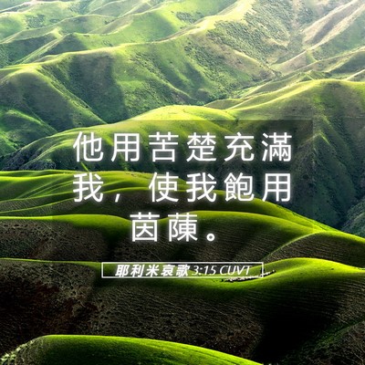 Picture 05 - 耶 利 米 哀 歌 3:15 CUVT - 他 用 苦 楚 充 滿 我 ， 使 我 飽 用 - Bible Verse Picture