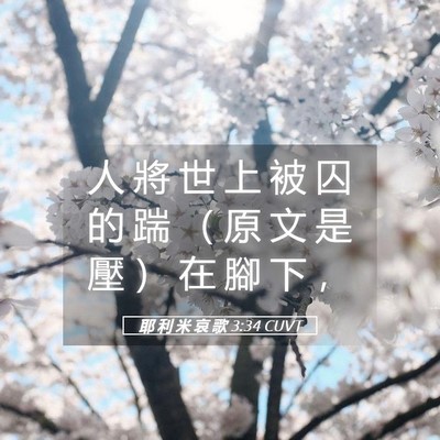 Picture 05 - 耶 利 米 哀 歌 3:34 CUVT - 人 將 世 上 被 囚 的 踹 （ 原 文 是 - Bible Verse Picture