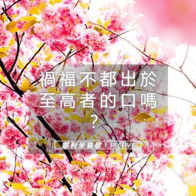 Picture 05 - 耶 利 米 哀 歌 3:38 CUVT - 禍 福 不 都 出 於 至 高 者 的 口 嗎 - Bible Verse Picture
