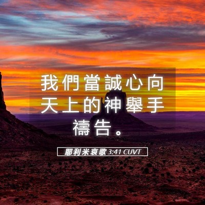 Picture 05 - 耶 利 米 哀 歌 3:41 CUVT - 我 們 當 誠 心 向 天 上 的 神 舉 手 - Bible Verse Picture
