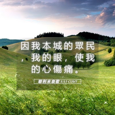 Picture 05 - 耶 利 米 哀 歌 3:51 CUVT - 因 我 本 城 的 眾 民 ， 我 的 眼 ， - Bible Verse Picture