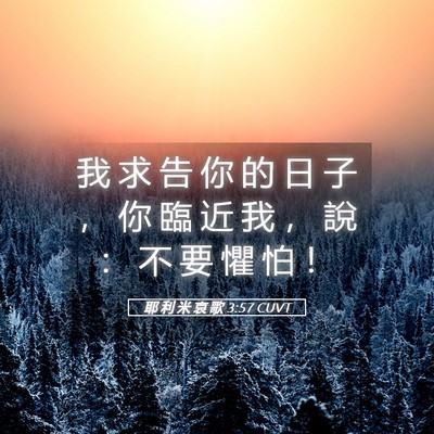Picture 05 - 耶 利 米 哀 歌 3:57 CUVT - 我 求 告 你 的 日 子 ， 你 臨 近 我 - Bible Verse Picture