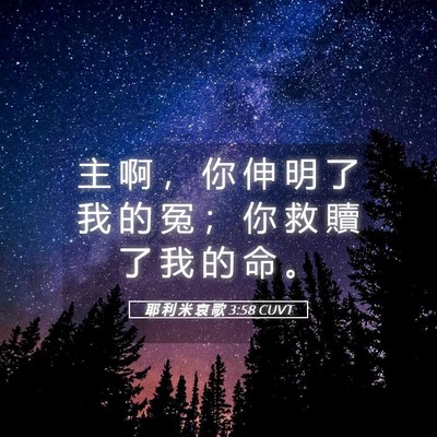 Picture 05 - 耶 利 米 哀 歌 3:58 CUVT - 主 啊 ， 你 伸 明 了 我 的 冤 ； 你 - Bible Verse Picture
