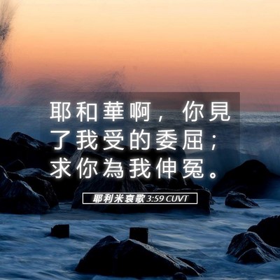 Picture 05 - 耶 利 米 哀 歌 3:59 CUVT - 耶 和 華 啊 ， 你 見 了 我 受 的 委 - Bible Verse Picture