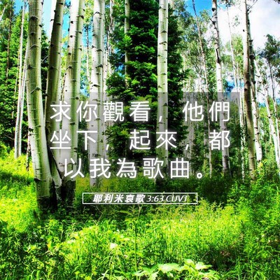 Picture 05 - 耶 利 米 哀 歌 3:63 CUVT - 求 你 觀 看 ， 他 們 坐 下 ， 起 來 - Bible Verse Picture