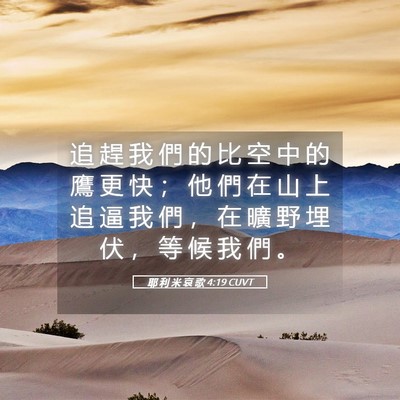 Picture 05 - 耶 利 米 哀 歌 4:19 CUVT - 追 趕 我 們 的 比 空 中 的 鷹 更 快 - Bible Verse Picture