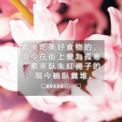 Picture 05 - 耶 利 米 哀 歌 4:5 CUVT - 素 來 吃 美 好 食 物 的 ， 現 今 在 - Bible Verse Picture