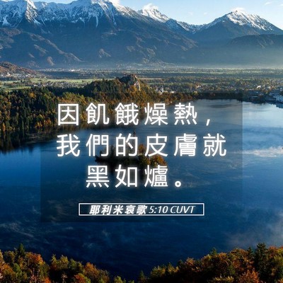 Picture 05 - 耶 利 米 哀 歌 5:10 CUVT - 因 飢 餓 燥 熱 ， 我 們 的 皮 膚 就 - Bible Verse Picture