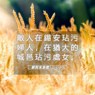 Picture 05 - 耶 利 米 哀 歌 5:11 CUVT - 敵 人 在 錫 安 玷 污 婦 人 ， 在 猶 - Bible Verse Picture