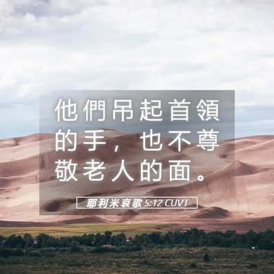 Picture 05 - 耶 利 米 哀 歌 5:12 CUVT - 他 們 吊 起 首 領 的 手 ， 也 不 尊 - Bible Verse Picture