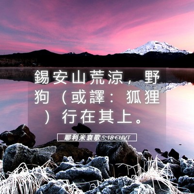 Picture 05 - 耶 利 米 哀 歌 5:18 CUVT - 錫 安 山 荒 涼 ， 野 狗 （ 或 譯 ： - Bible Verse Picture