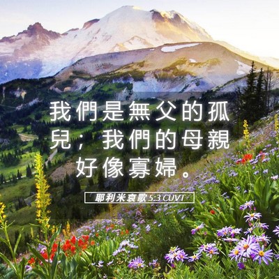 Picture 05 - 耶 利 米 哀 歌 5:3 CUVT - 我 們 是 無 父 的 孤 兒 ； 我 們 的 - Bible Verse Picture