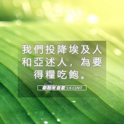 Picture 05 - 耶 利 米 哀 歌 5:6 CUVT - 我 們 投 降 埃 及 人 和 亞 述 人 ， - Bible Verse Picture