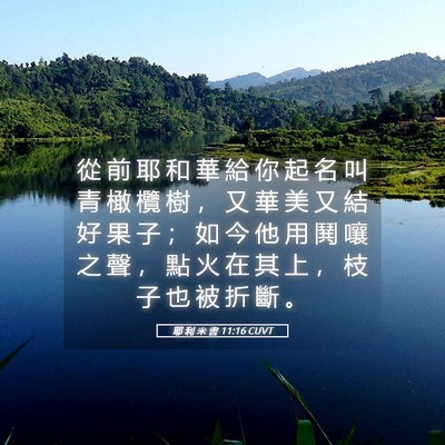 Picture 05 - 耶 利 米 書 11:16 CUVT - 從 前 耶 和 華 給 你 起 名 叫 青 橄 - Bible Verse Picture