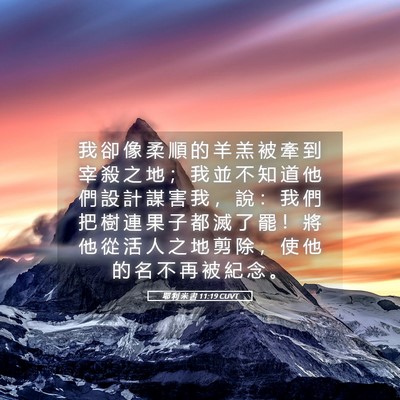 Picture 05 - 耶 利 米 書 11:19 CUVT - 我 卻 像 柔 順 的 羊 羔 被 牽 到 宰 - Bible Verse Picture