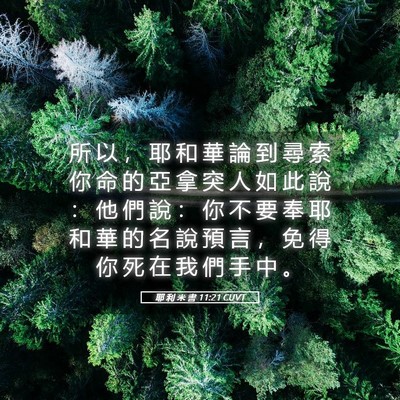 Picture 05 - 耶 利 米 書 11:21 CUVT - 所 以 ， 耶 和 華 論 到 尋 索 你 命 - Bible Verse Picture