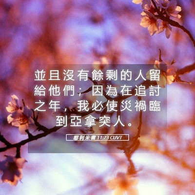 Picture 05 - 耶 利 米 書 11:23 CUVT - 並 且 沒 有 餘 剩 的 人 留 給 他 們 - Bible Verse Picture