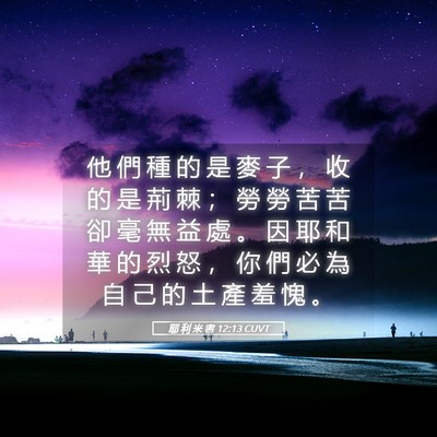 Picture 05 - 耶 利 米 書 12:13 CUVT - 他 們 種 的 是 麥 子 ， 收 的 是 荊 - Bible Verse Picture