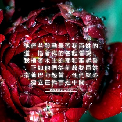 Picture 05 - 耶 利 米 書 12:16 CUVT - 他 們 若 殷 勤 學 習 我 百 姓 的 道 - Bible Verse Picture