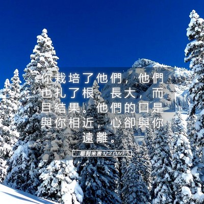 Picture 05 - 耶 利 米 書 12:2 CUVT - 你 栽 培 了 他 們 ， 他 們 也 扎 了 - Bible Verse Picture