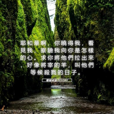 Picture 05 - 耶 利 米 書 12:3 CUVT - 耶 和 華 啊 ， 你 曉 得 我 ， 看 見 - Bible Verse Picture