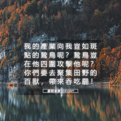 Picture 05 - 耶 利 米 書 12:9 CUVT - 我 的 產 業 向 我 豈 如 斑 點 的 鷙 - Bible Verse Picture