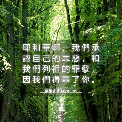Picture 05 - 耶 利 米 書 14:20 CUVT - 耶 和 華 啊 ， 我 們 承 認 自 己 的 - Bible Verse Picture