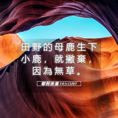 Picture 05 - 耶 利 米 書 14:5 CUVT - 田 野 的 母 鹿 生 下 小 鹿 ， 就 撇 - Bible Verse Picture