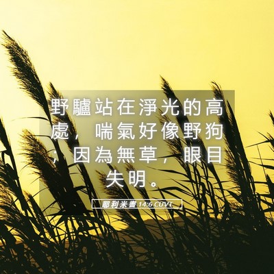 Picture 05 - 耶 利 米 書 14:6 CUVT - 野 驢 站 在 淨 光 的 高 處 ， 喘 氣 - Bible Verse Picture