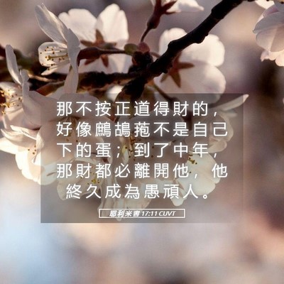Picture 05 - 耶 利 米 書 17:11 CUVT - 那 不 按 正 道 得 財 的 ， 好 像 鷓 - Bible Verse Picture