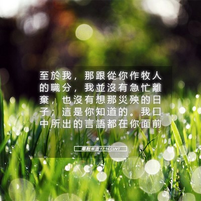 Picture 05 - 耶 利 米 書 17:16 CUVT - 至 於 我 ， 那 跟 從 你 作 牧 人 的 - Bible Verse Picture
