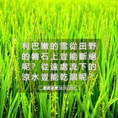 Picture 05 - 耶 利 米 書 18:14 CUVT - 利 巴 嫩 的 雪 從 田 野 的 磐 石 上 - Bible Verse Picture