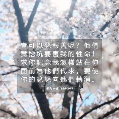 Picture 05 - 耶 利 米 書 18:20 CUVT - 豈 可 以 惡 報 善 呢 ？ 他 們 竟 挖 - Bible Verse Picture
