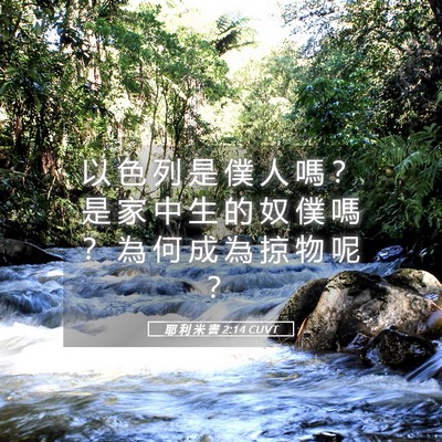 Picture 05 - 耶 利 米 書 2:14 CUVT - 以 色 列 是 僕 人 嗎 ？ 是 家 中 生 - Bible Verse Picture