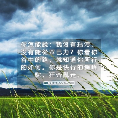 Picture 05 - 耶 利 米 書 2:23 CUVT - 你 怎 能 說 ： 我 沒 有 玷 污 、 沒 - Bible Verse Picture