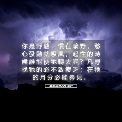 Picture 05 - 耶 利 米 書 2:24 CUVT - 你 是 野 驢 ， 慣 在 曠 野 ， 慾 心 - Bible Verse Picture