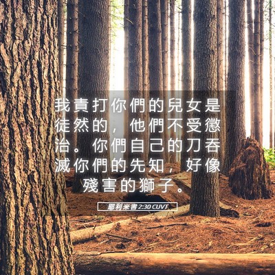 Picture 05 - 耶 利 米 書 2:30 CUVT - 我 責 打 你 們 的 兒 女 是 徒 然 的 - Bible Verse Picture