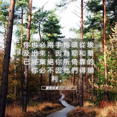 Picture 05 - 耶 利 米 書 2:37 CUVT - 你 也 必 兩 手 抱 頭 從 埃 及 出 來 - Bible Verse Picture