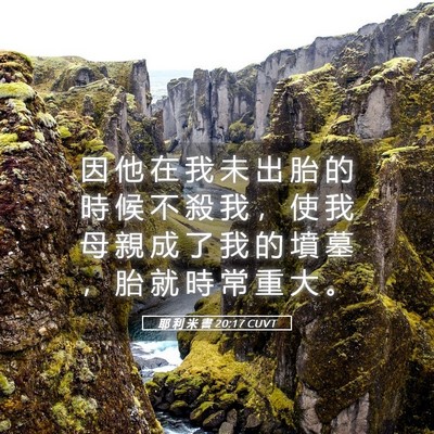 Picture 05 - 耶 利 米 書 20:17 CUVT - 因 他 在 我 未 出 胎 的 時 候 不 殺 - Bible Verse Picture