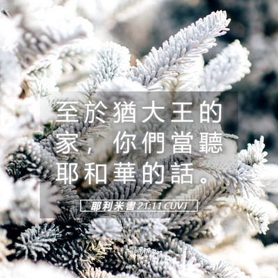 Picture 05 - 耶 利 米 書 21:11 CUVT - 至 於 猶 大 王 的 家 ， 你 們 當 聽 - Bible Verse Picture