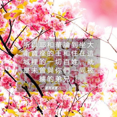 Picture 05 - 耶 利 米 書 29:16 CUVT - 所 以 耶 和 華 論 到 坐 大 衛 寶 座 - Bible Verse Picture