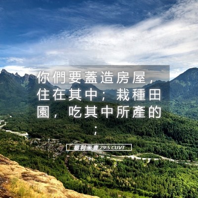 Picture 05 - 耶 利 米 書 29:5 CUVT - 你 們 要 蓋 造 房 屋 ， 住 在 其 中 - Bible Verse Picture