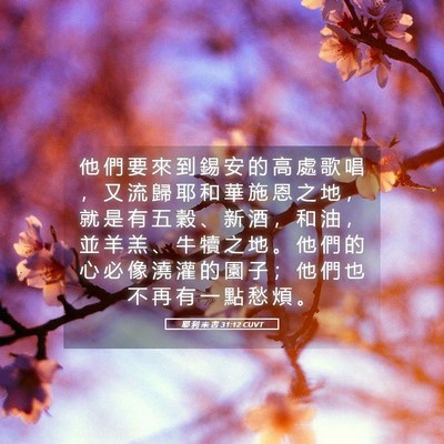 Picture 05 - 耶 利 米 書 31:12 CUVT - 他 們 要 來 到 錫 安 的 高 處 歌 唱 - Bible Verse Picture