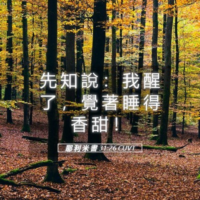 Picture 05 - 耶 利 米 書 31:26 CUVT - 先 知 說 ： 我 醒 了 ， 覺 著 睡 得 - Bible Verse Picture