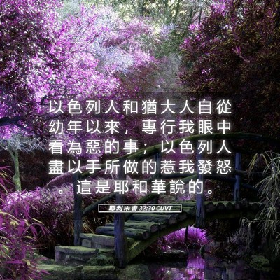 Picture 05 - 耶 利 米 書 32:30 CUVT - 以 色 列 人 和 猶 大 人 自 從 幼 年 - Bible Verse Picture