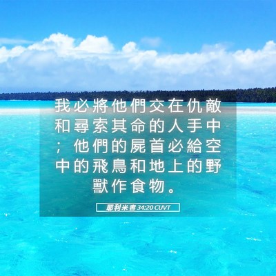 Picture 05 - 耶 利 米 書 34:20 CUVT - 我 必 將 他 們 交 在 仇 敵 和 尋 索 - Bible Verse Picture