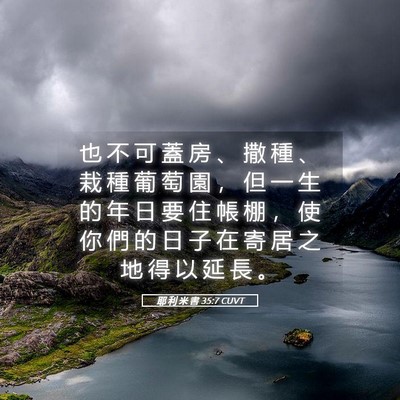 Picture 05 - 耶 利 米 書 35:7 CUVT - 也 不 可 蓋 房 、 撒 種 、 栽 種 葡 - Bible Verse Picture